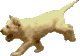 stenatko